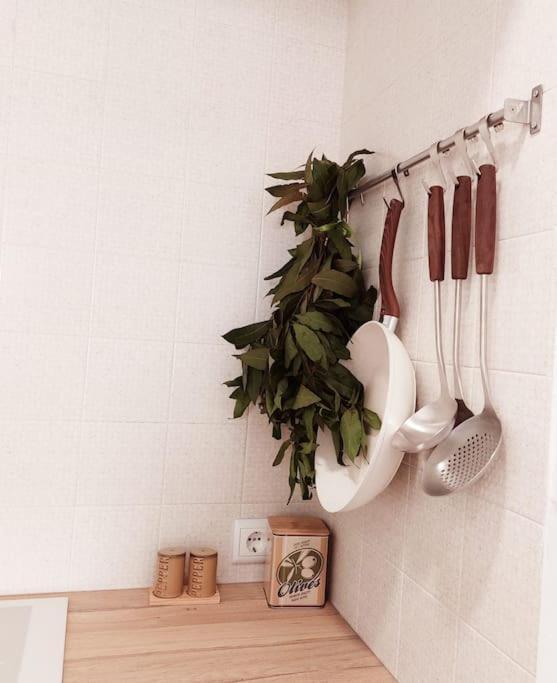 The Bird House Apartment